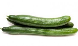 热门大瓜每日必吃大瓜合集,揭秘娱乐圈最新动态，一网打尽娱乐圈风云